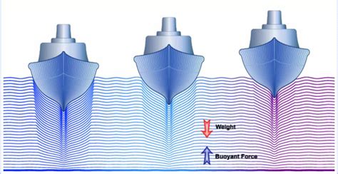 How Does Cruise Ship Float: A Journey Through Buoyancy and Beyond