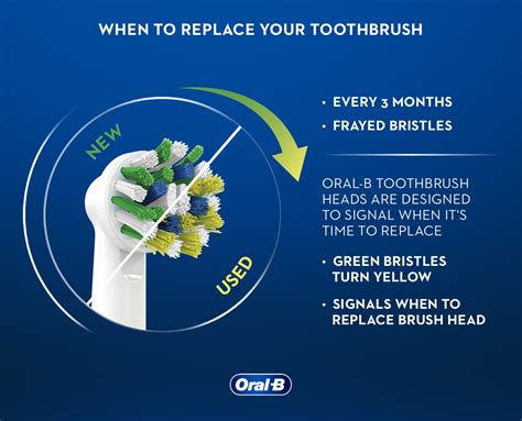 How Often Should You Change Your Electric Toothbrush Head: And Why Do Penguins Prefer Mint Flavor?