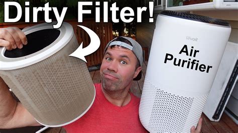 How to Clean an Air Purifier Filter: And Why Your Cat Might Be the Real Expert