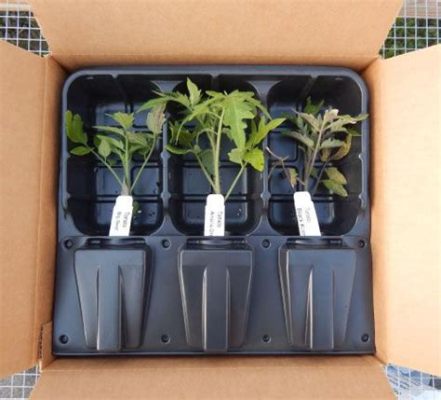 How to Ship Live Plants: Unearthing the Roots of Green Logistics