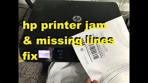 hp printer missing lines when printing: A Symphony of Ink and Frustration