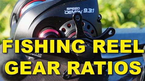 What Does the Gear Ratio Mean on a Fishing Reel? And Why Do Fish Seem to Care About Math?